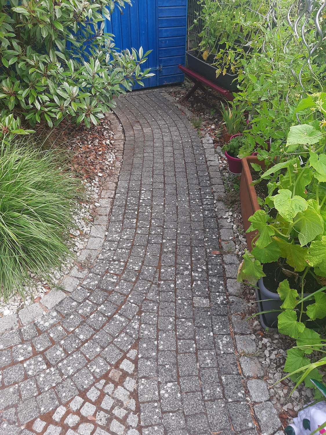 Steinreinigung Wiesbaden – SteinFlix