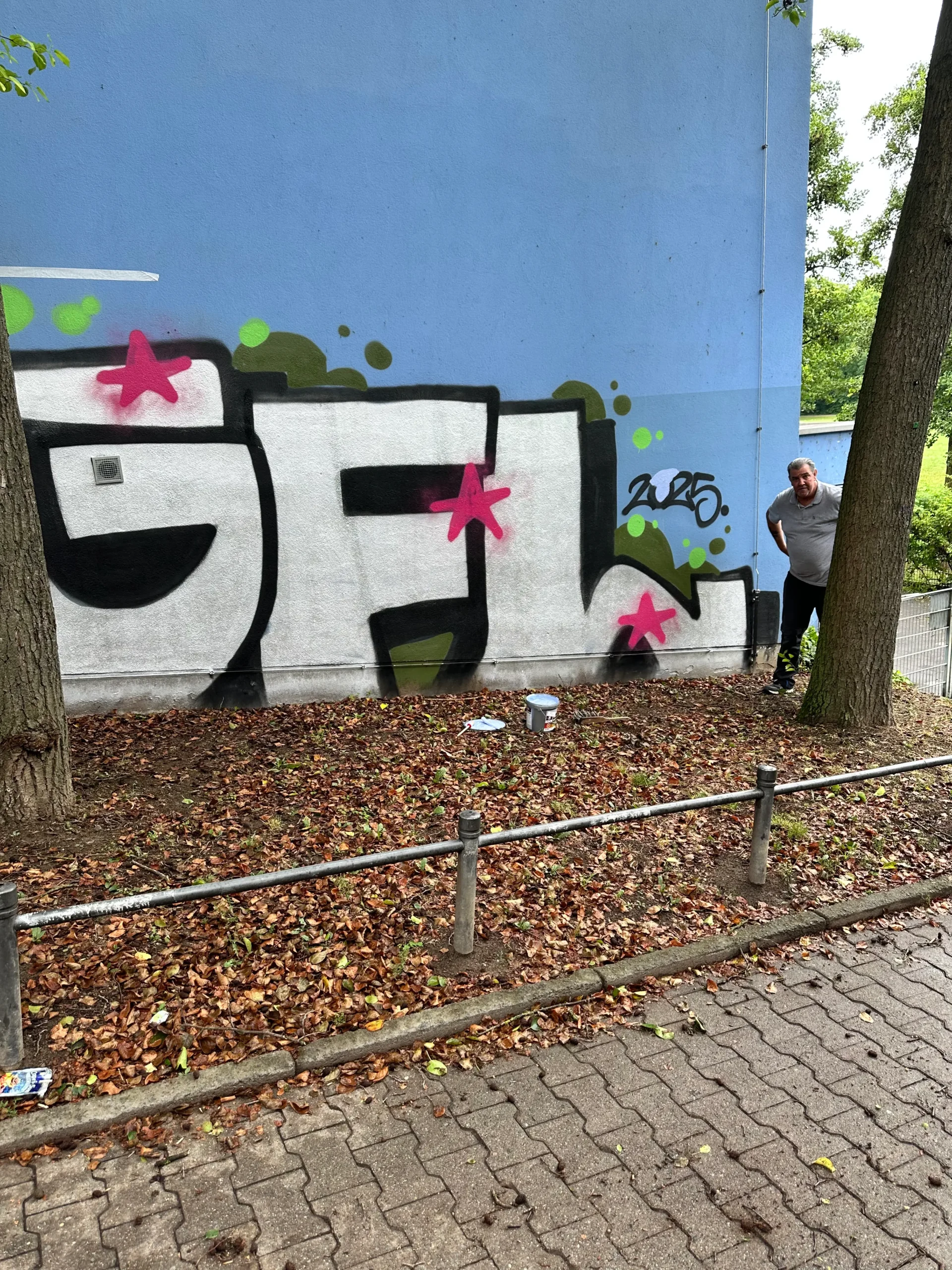 Steinreinigung Wiesbaden – SteinFlix