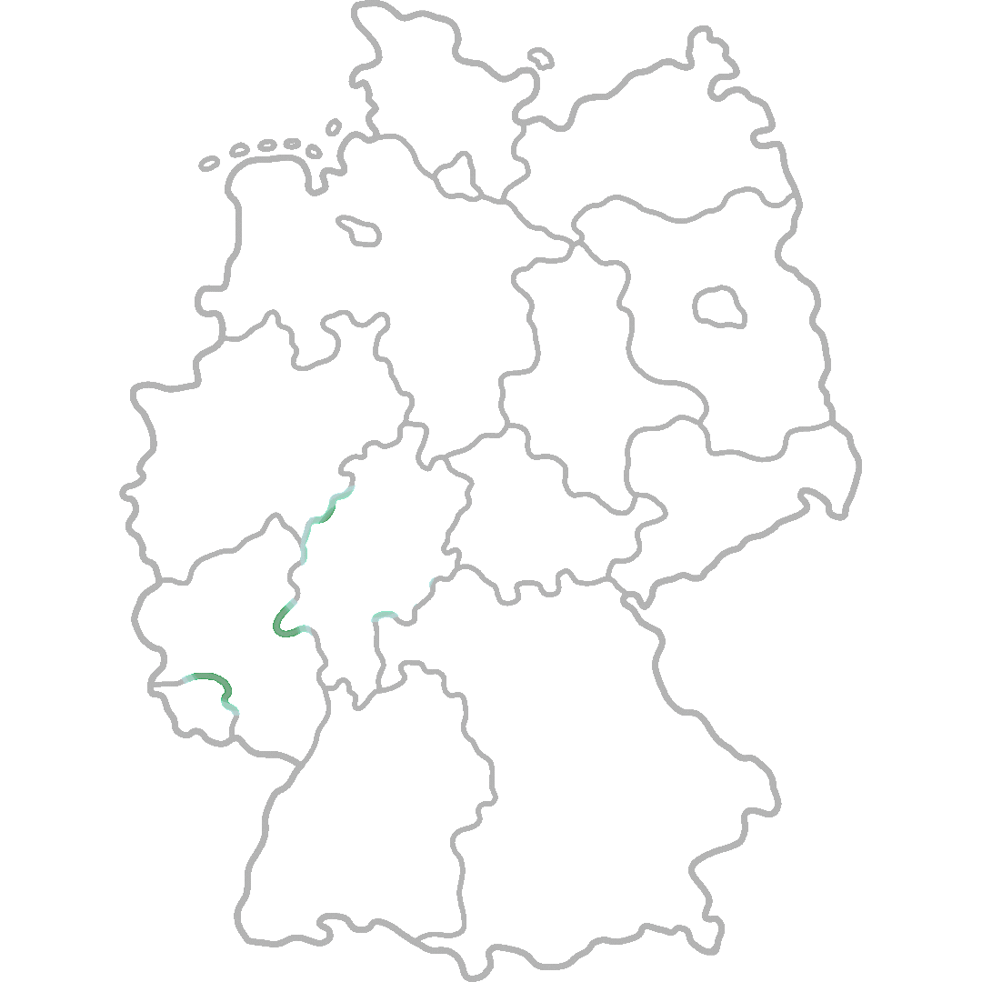 Steinreinigung Wiesbaden – SteinFlix