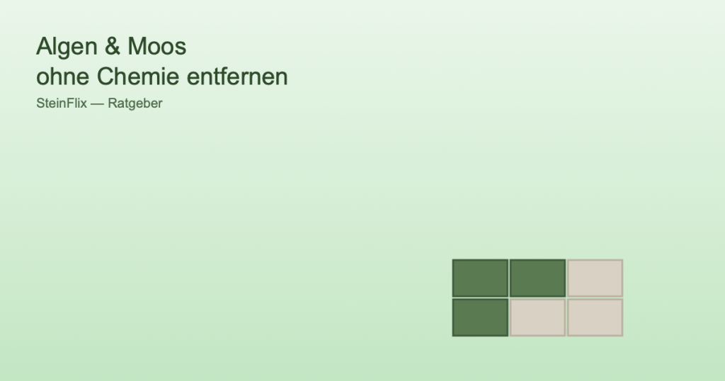 Symbolgrafik von Pflastersteinen, halb mit Moos bewachsen, halb sauber